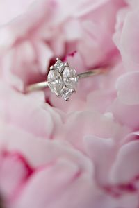 Close-up of wedding rings on pink flower