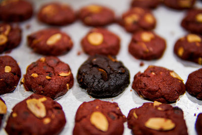 Close-up of chocolate cake