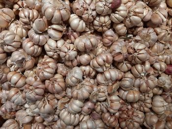 Full frame shot of seashells