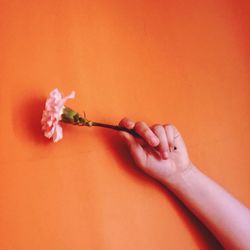 Close-up of hand holding flower against orange background