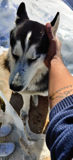 Midsection of person holding umbrella