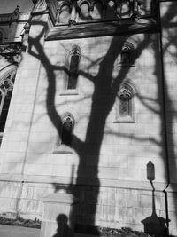 Low angle view of built structure