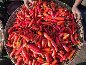 Red chili pepper for sale at market