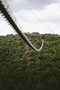 Low angle view of rope on tree against sky