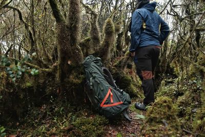 Rear view of man standing by tree in forest