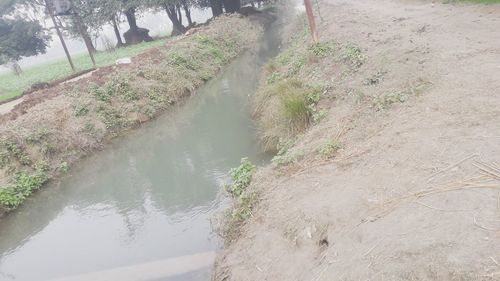 High angle view of river amidst trees in forest