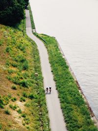 High angle view of road amidst plants on land