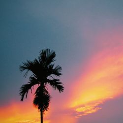 Low angle view of silhouette palm tree against sky at sunset