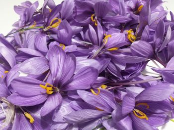 Full frame shot of purple flowers