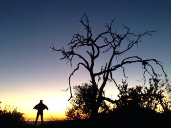 Silhouette of bare tree against sunset sky