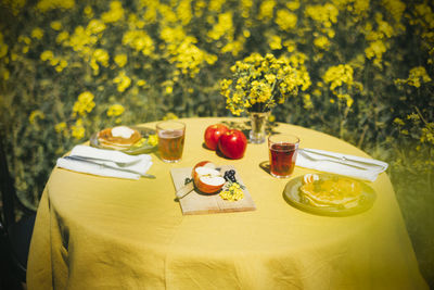 High angle view of rose on table