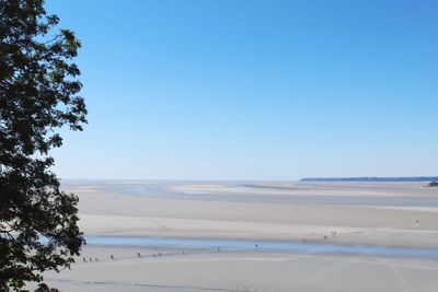 Scenic view of beach against clear blue sky