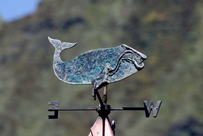 Close-up of weather vane