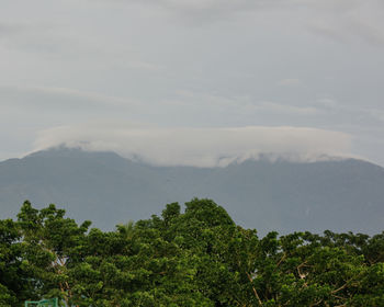 Scenic view of tree mountains against sky