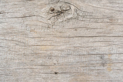 Close-up of weathered wooden plank