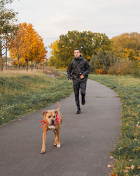 Portrait of dog standing on road during autumn