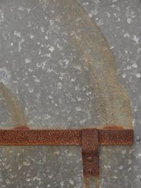 Close-up view of leaf