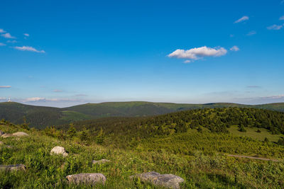 Scenic view of landscape against blue sky