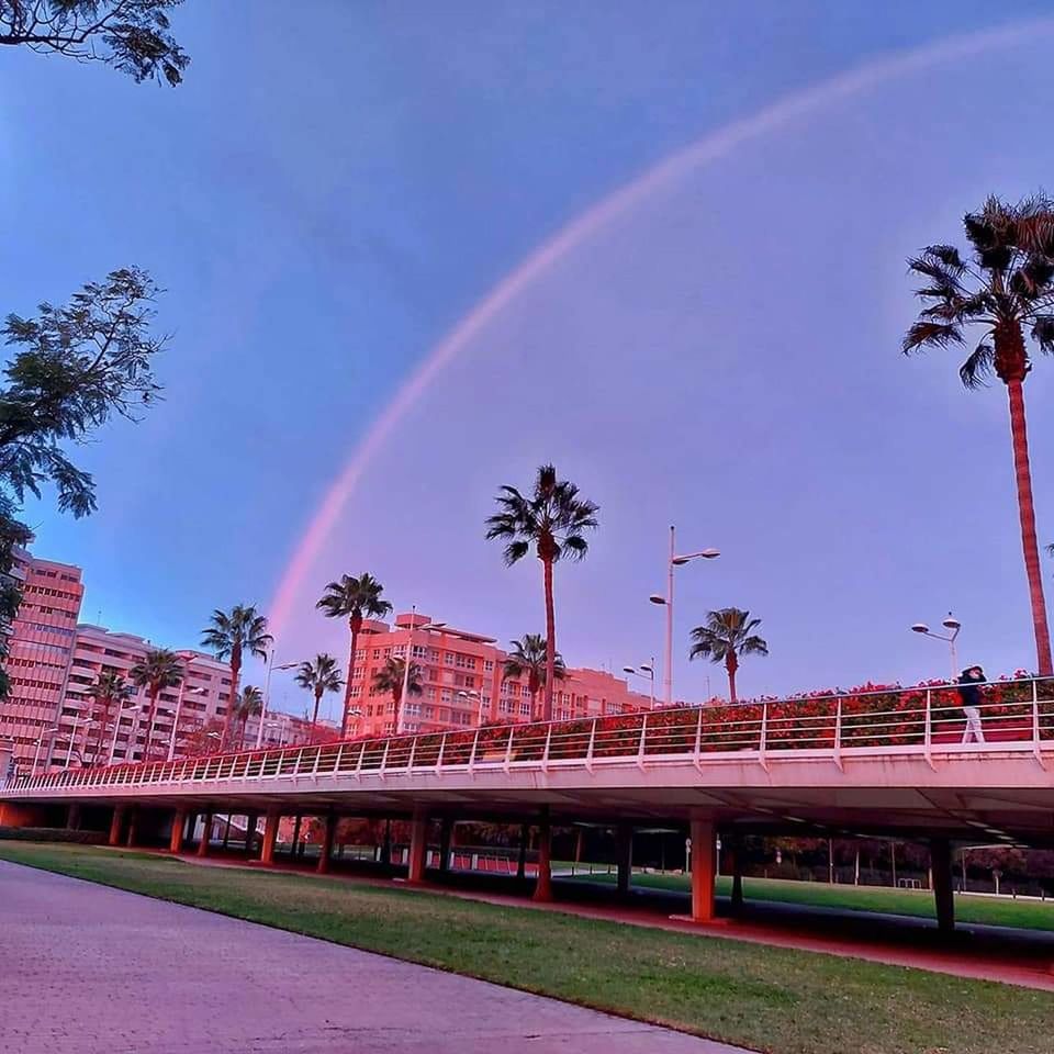 rainbow, tree, sky, plant, architecture, nature, palm tree, tropical climate, cloud, built structure, travel destinations, city, transportation, no people, beauty in nature, multi colored, outdoors, travel, building exterior, street, stadium, water, motion, landmark, sport venue, road