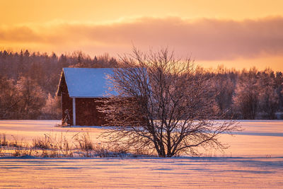 Bare trees on snow covered field against sky during sunset