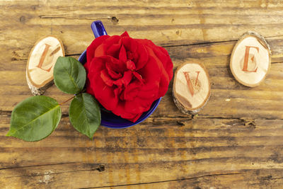 High angle view of roses on table