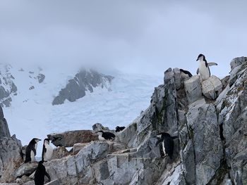 Low angle view of people on mountain against sky