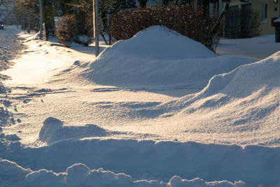 Scenic view of snow covered field