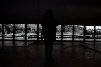 Rear view of silhouette woman standing against window