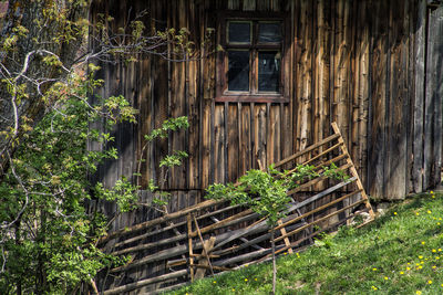 Abandoned house window