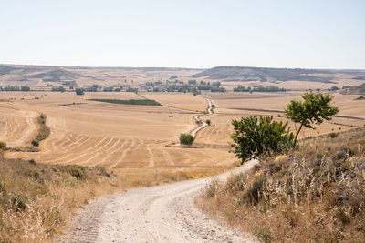 Scenic view of landscape against clear sky