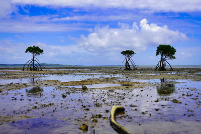 Scenic view of beach against sky