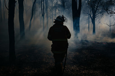 Rear view of man standing in forest