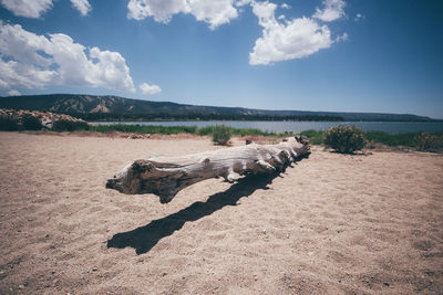 Scenic view of land against sky