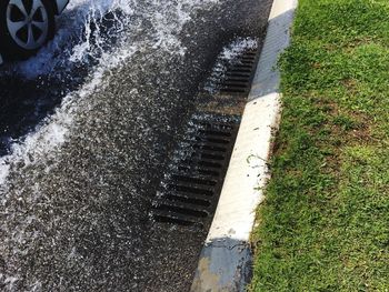 High angle view of grass in water