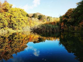 Reflection of trees in lake against sky