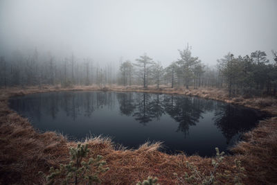 Reflection of trees in lake against sky