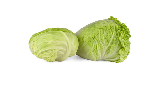 Close-up of cabbage against white background