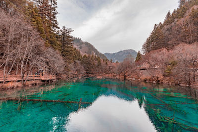 Scenic view of lake and mountains against sky