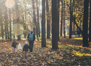 People walking in forest during autumn