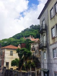 Houses by trees against sky