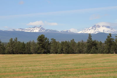mountain