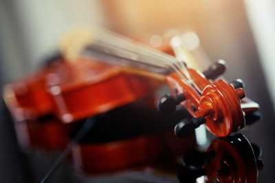 Close-up of violin