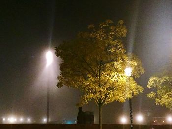 Low angle view of illuminated trees against sky at night