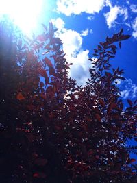 Low angle view of flowering tree against blue sky