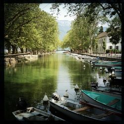 Boats moored in canal