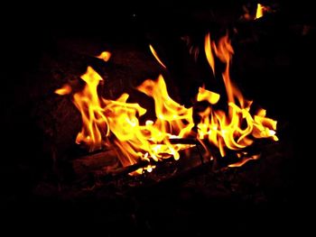 Close-up of bonfire at night