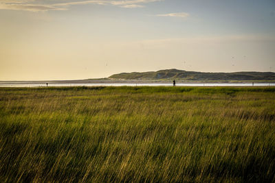 Scenic view of field against sky during sunset