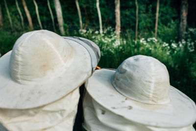 Close-up of hat on plants