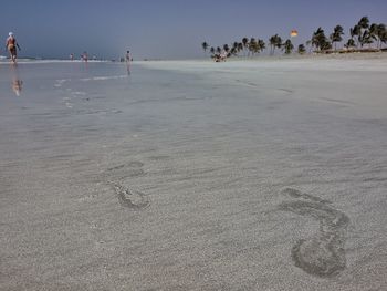 Group of people on beach