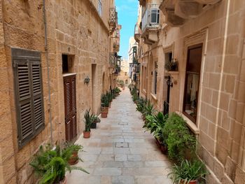 Narrow alley amidst buildings in city